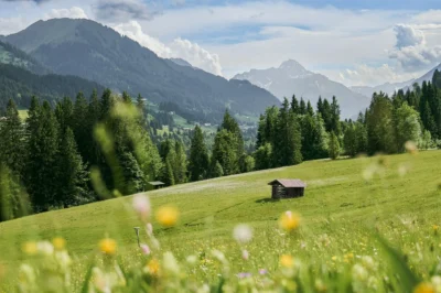 Top Travel Tips for a Stress-Free and Memorable Journey